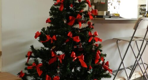 Un albero “sciuè sciuè”